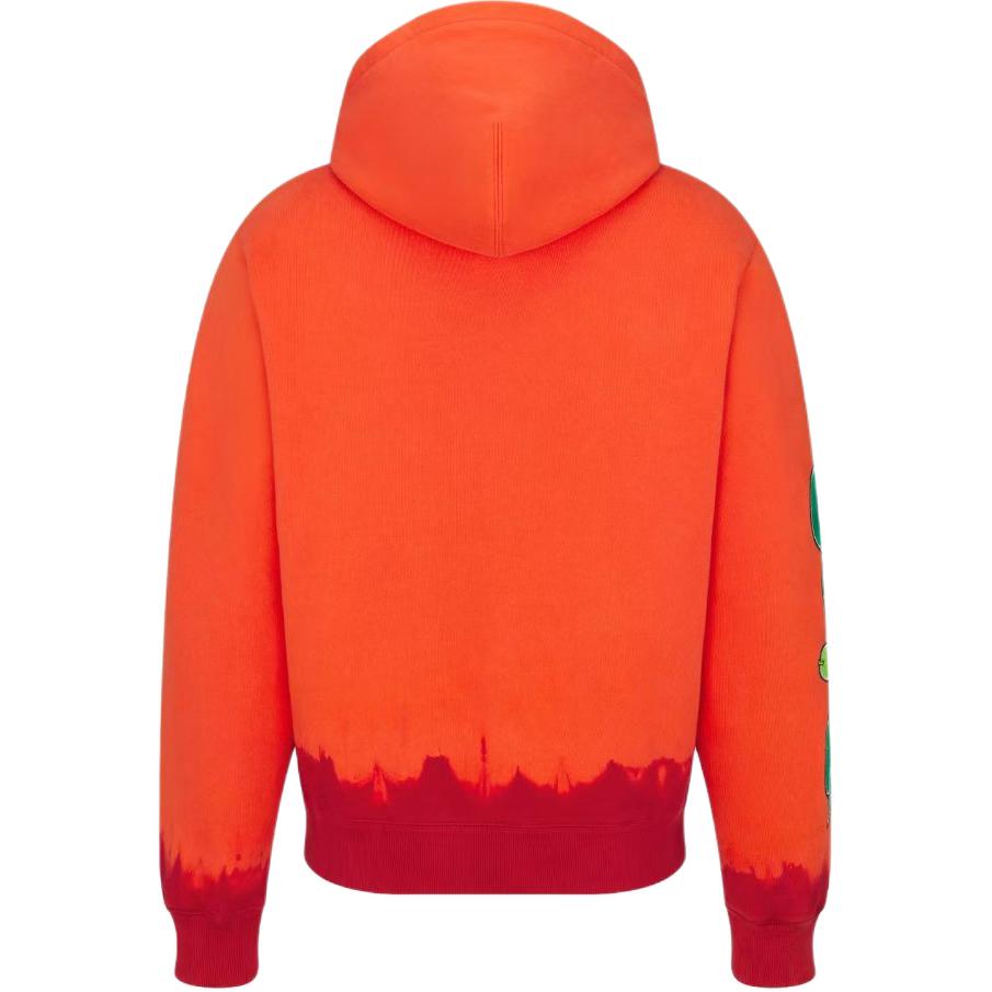 DIOR X Kaws Hooded Sweatshirt