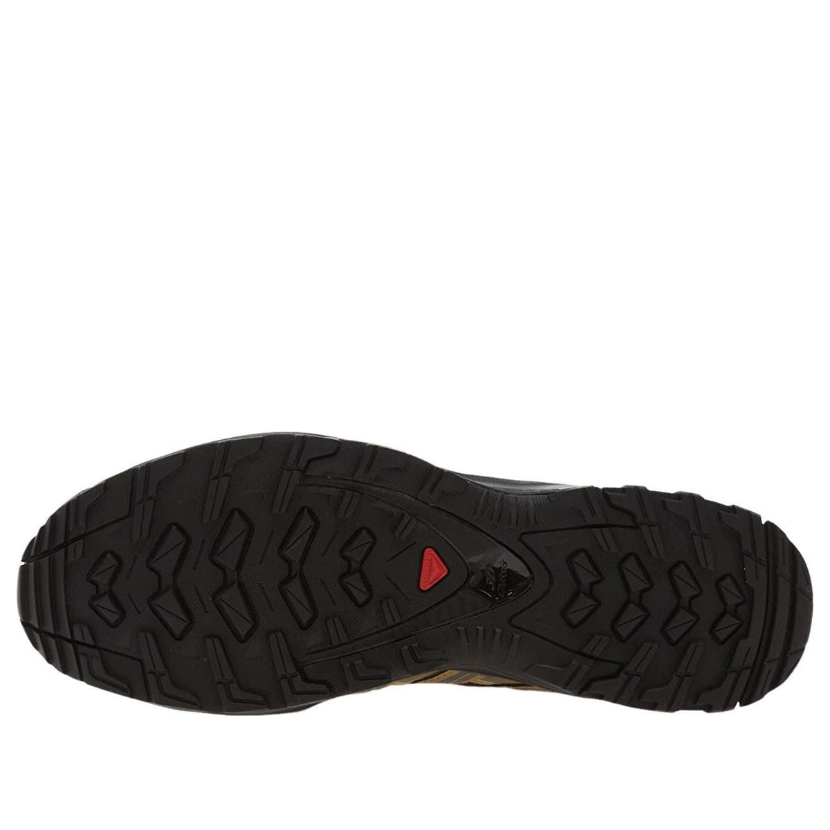 SALOMON XA-Pro 3D 'Black Coffee Kelp' 491719