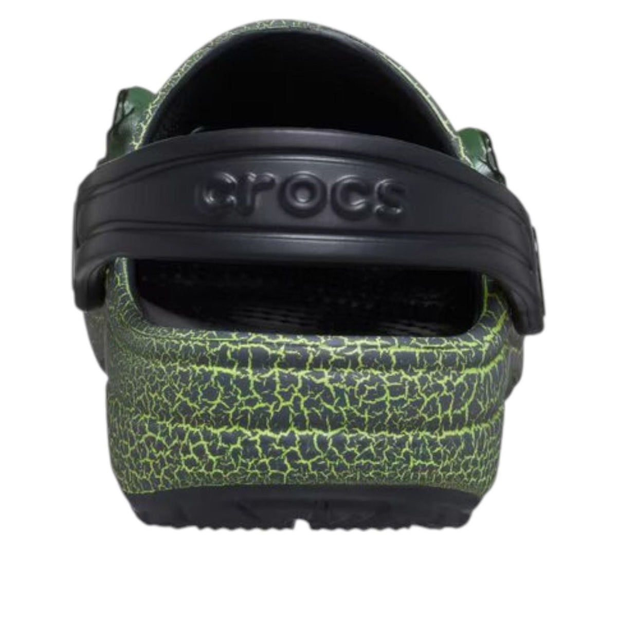 (GS)  Crocs Classic Clog 'IAM Scary Dino' 211372-001