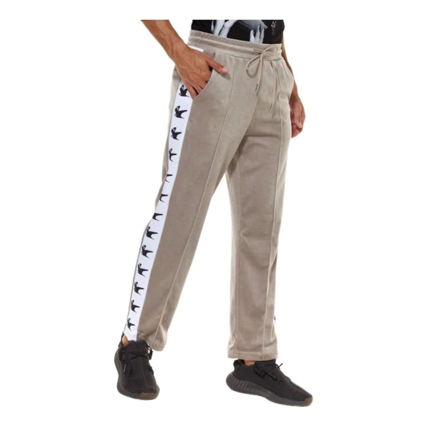 House of Cenmar Falcon Print Pants 'Gray' HOC-BVP
