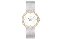 DIOR Wrist Watch Quartz Movement Stainless Steel Strap Mother-of-Pearl Color Watch Dial Men's Watches
