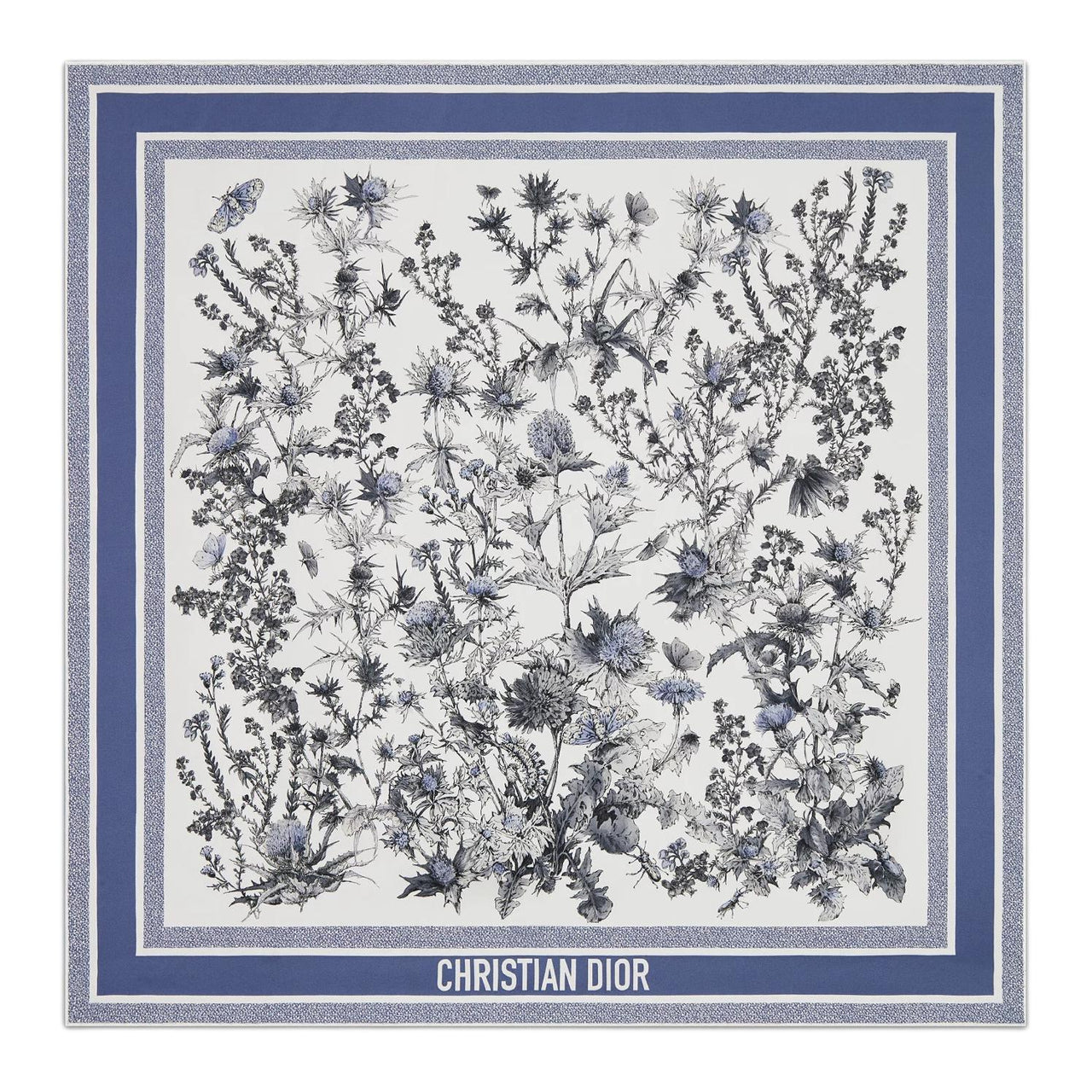 DIOR Silk Silk Scarves Women's Blue