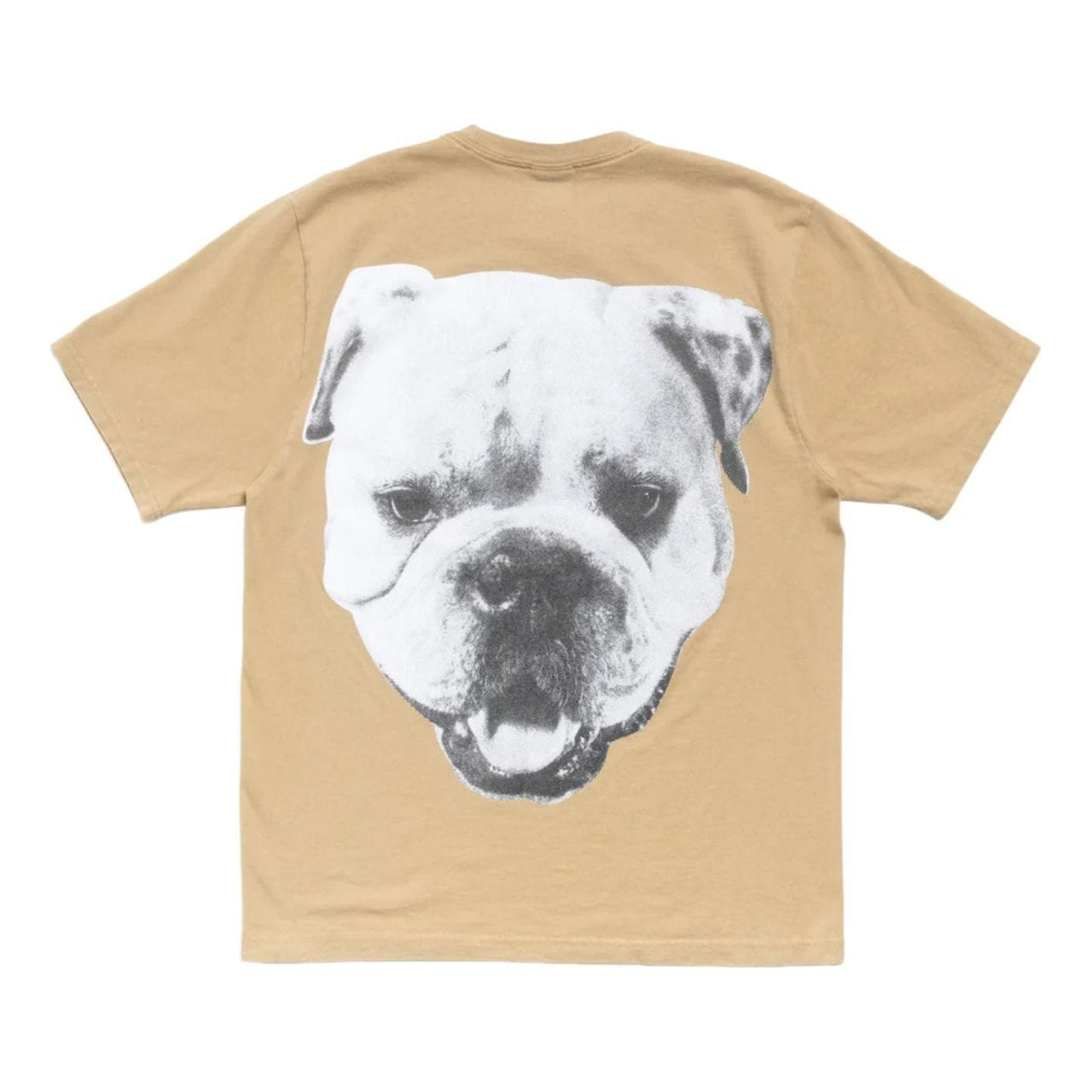 Stussy Big Dog Stone Washed T-Shirt 'Khaki' 1905211-KHAK