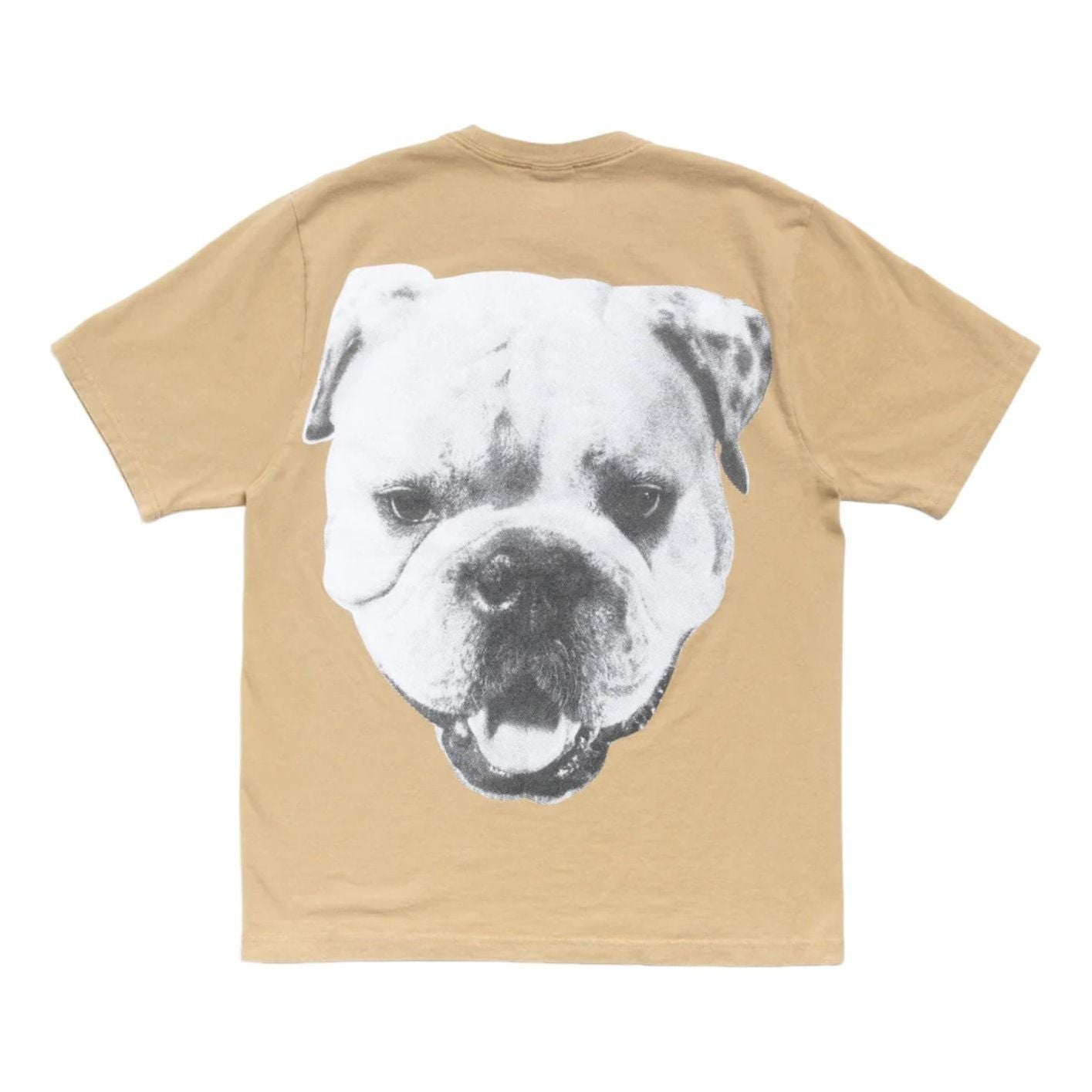 Stussy Big Dog Stone Washed T-Shirt 'Khaki' 1905211-KHAK