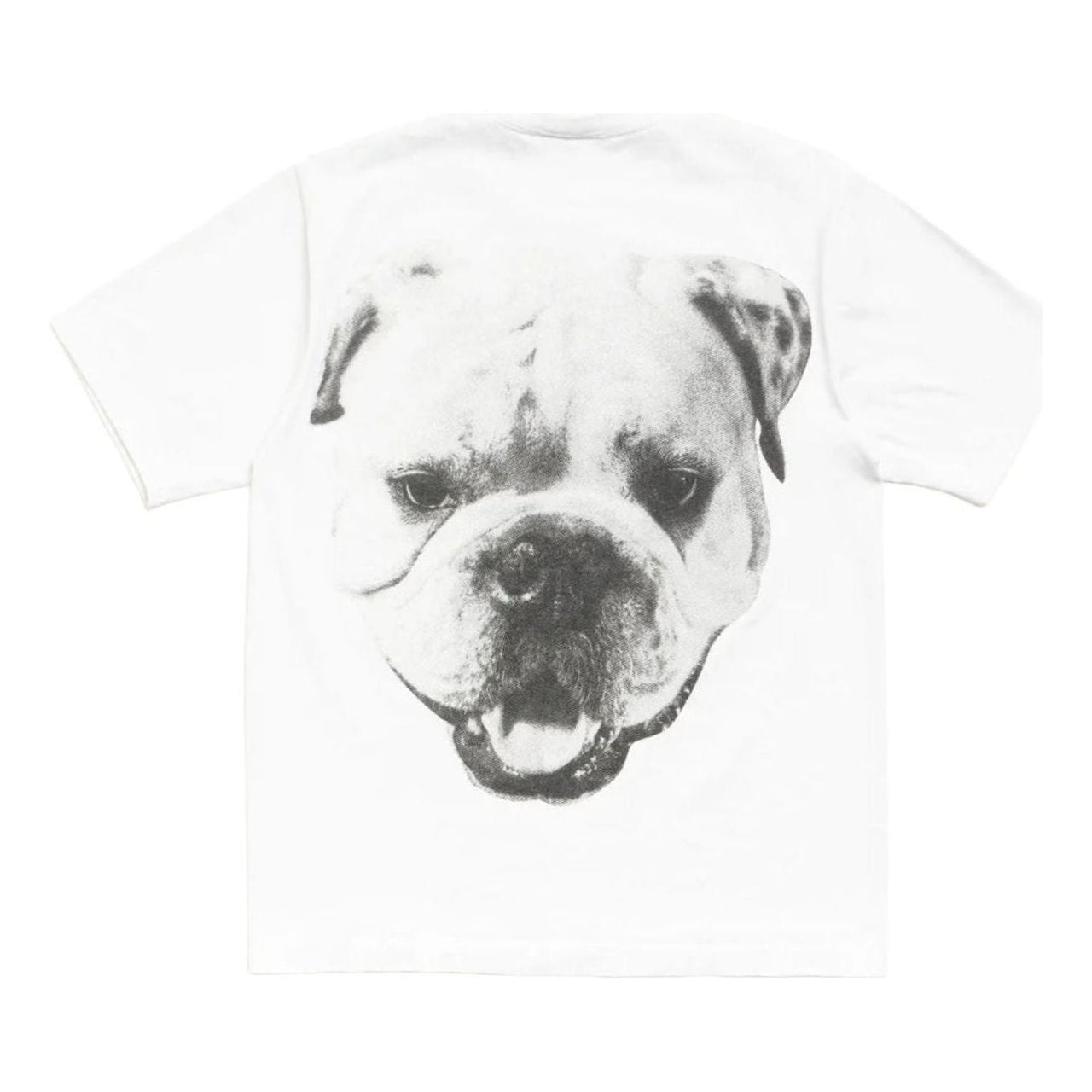 Stussy Big Dog Stone Washed T-Shirt 'White' 1905211-WHIT