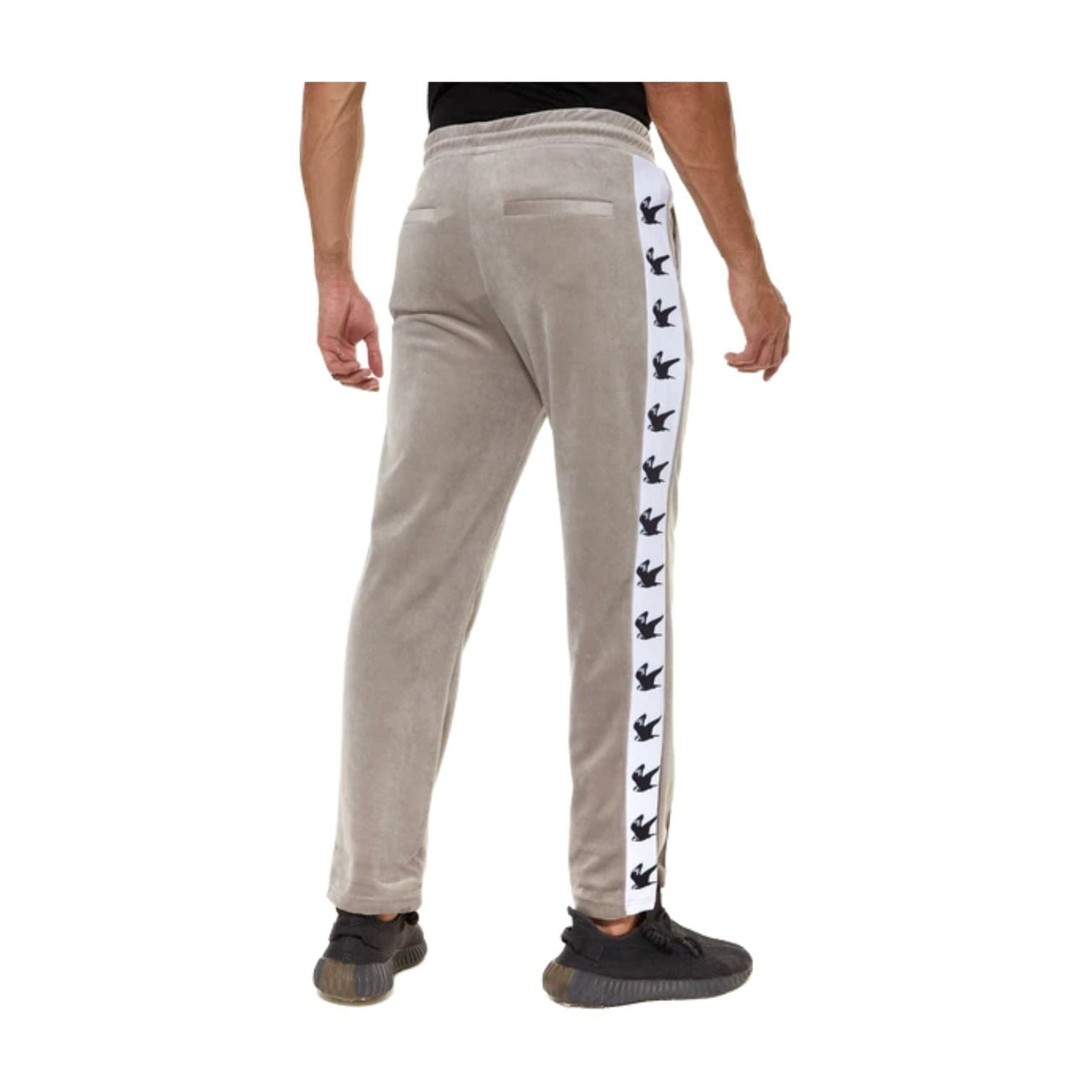 House of Cenmar Falcon Print Pants 'Gray' HOC-BVP