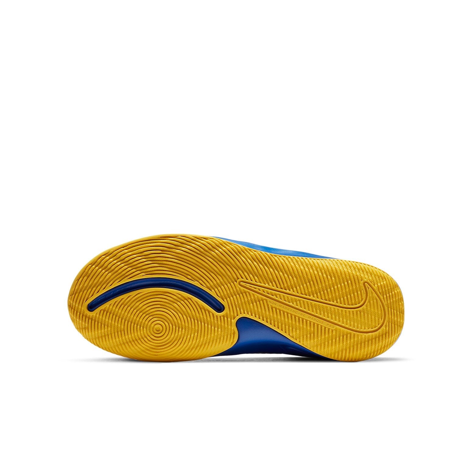(GS) Nike Team Hustle D9 'Game Royal' AQ4224-404