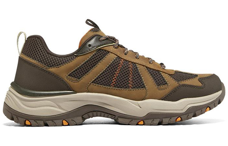 Skechers Arch Fit Dawson 204607C-DSCH