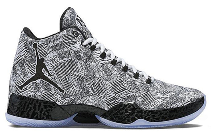 Air Jordan 29 'Black History Month' 727133-110