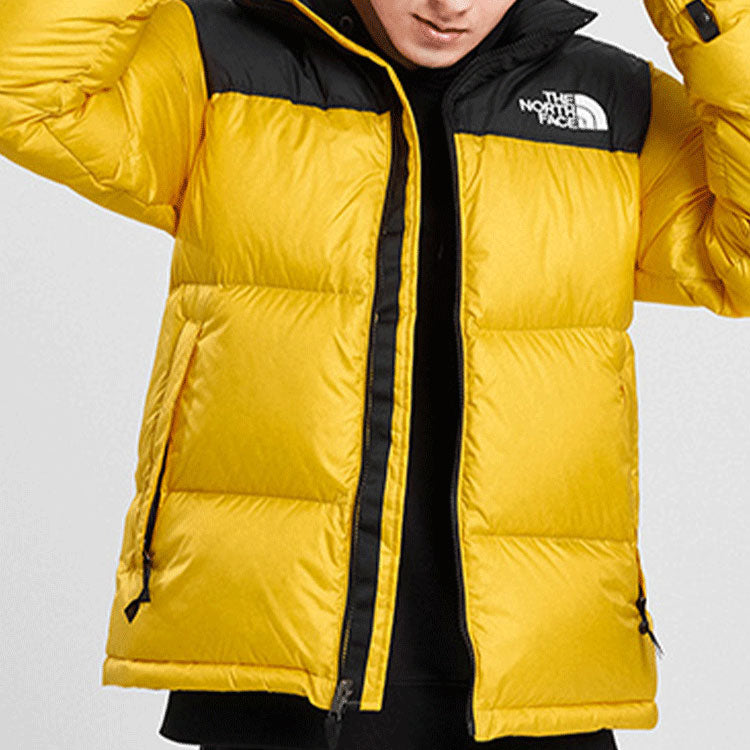 THE NORTH FACE 1996 Nuptse 700 NF0A4NCH-70M