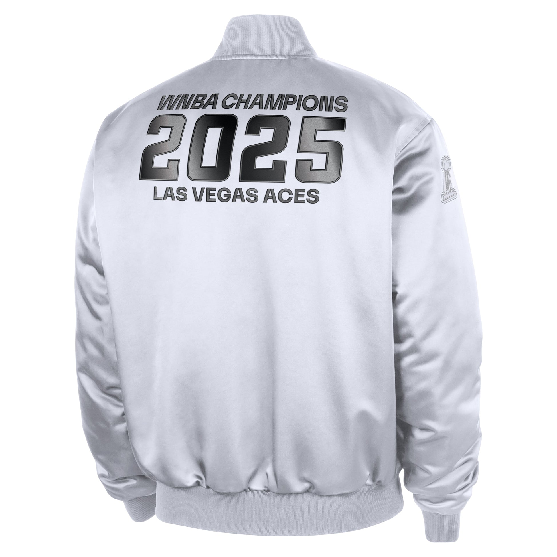 Nike Las Vegas Aces WNBA Game Jacket 'White Metallic Silver' HV9304-100