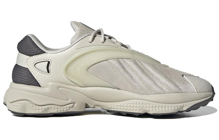 adidas Oztrak 'Aluminium Grey' GZ9409