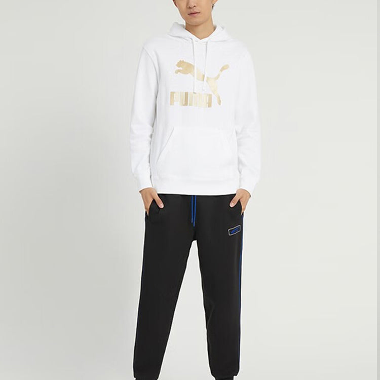 PUMA Classics Metallic Regular Fit Hoodie 'White' 537678-02