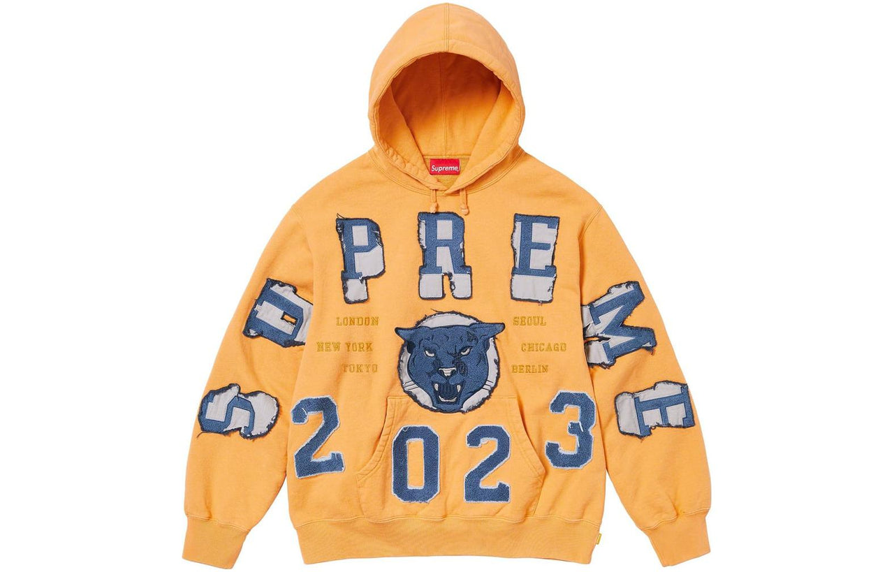 Supreme FW23 Week5 Washed Panther Hoodie 'Orange' SUP-FW23-098