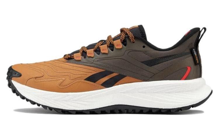 Reebok Floatride Energy 5 Adventure 'Coubro Gro' 100033457