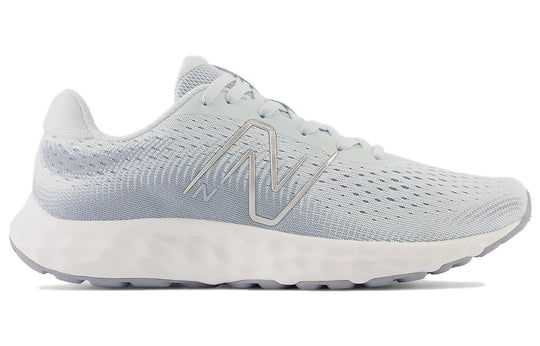 (WMNS) New Balance 520 v8 'Grey' W520LN8