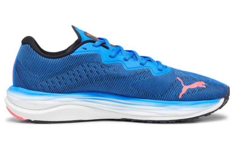 PUMA Velocity Nitro 2 'Ultra Blue Fire Orchid 195337-19