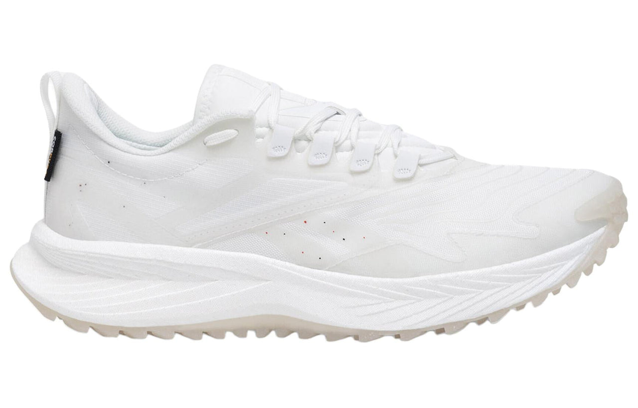 Reebok Floatride Energy 5 'White' 100074903
