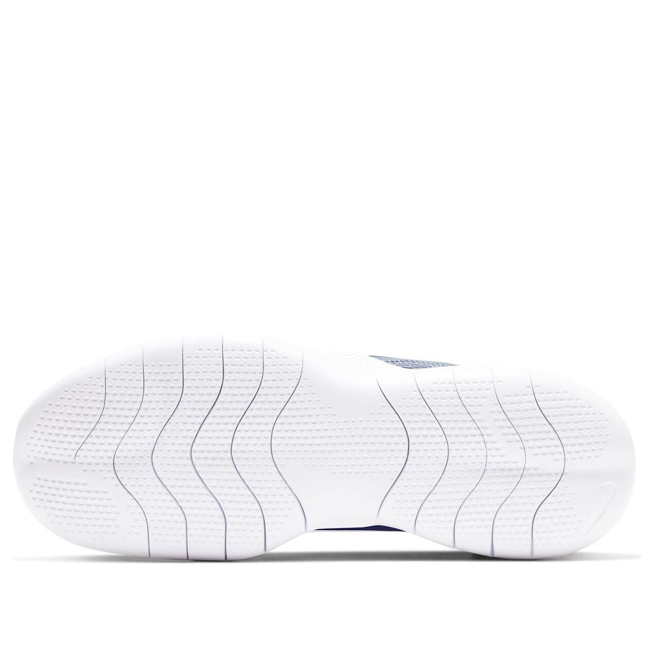 (WMNS) Nike Flex Experience Run 9 'Blue White' CD0227-400
