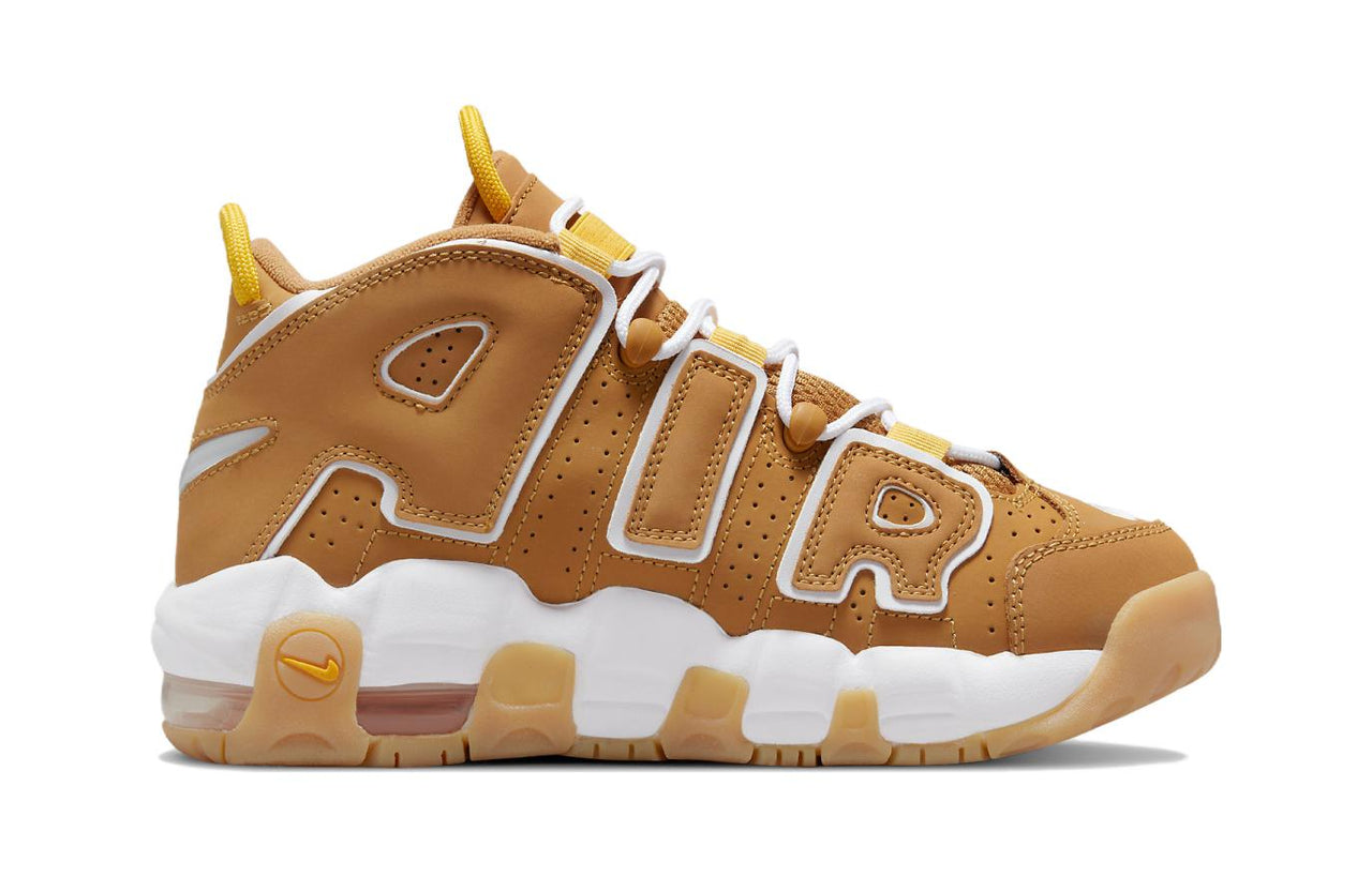 (PS) Nike Air More Uptempo DQ4714-700