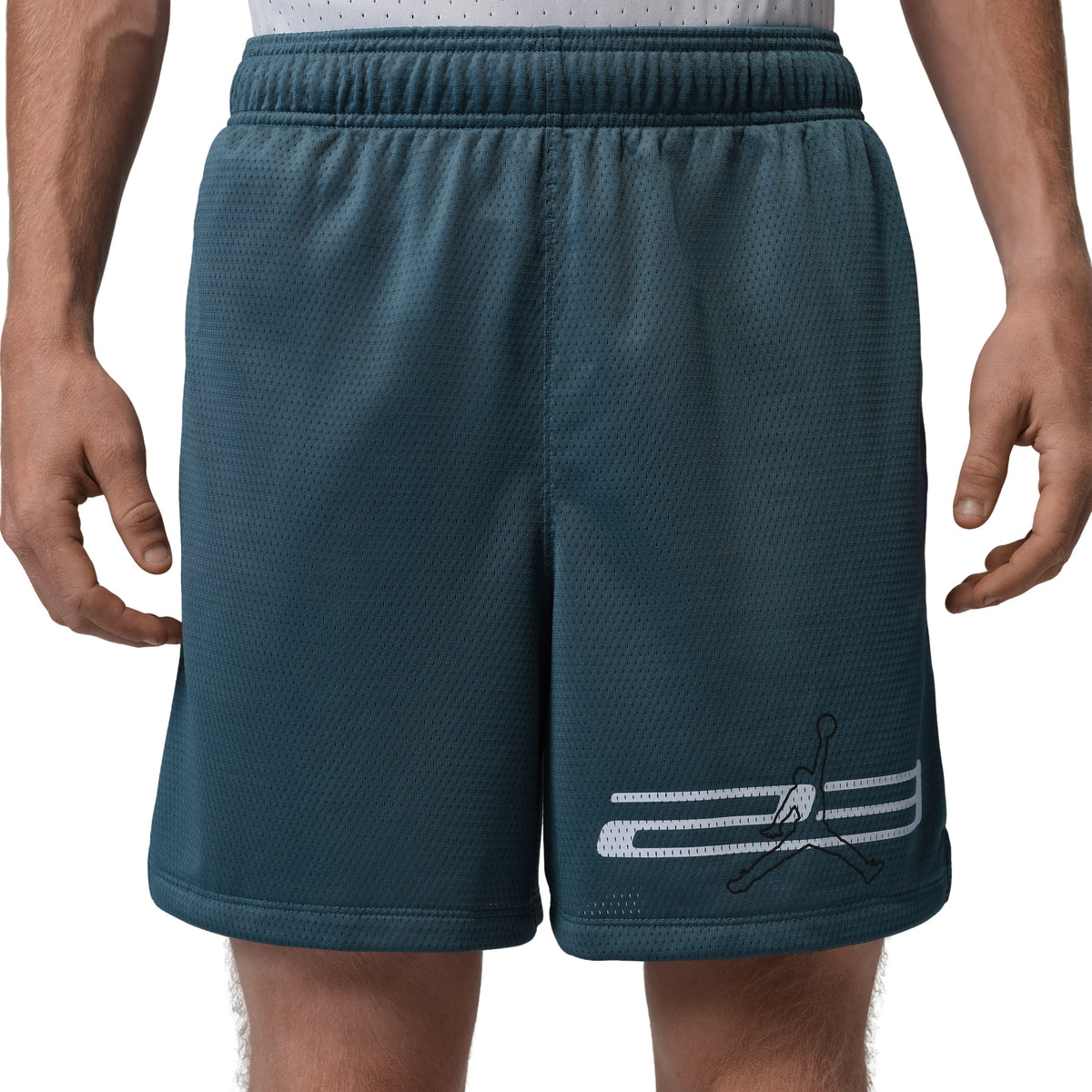Jordan Dri-FIT Mesh Graphic Shorts 'Ash Green' IF0872-031