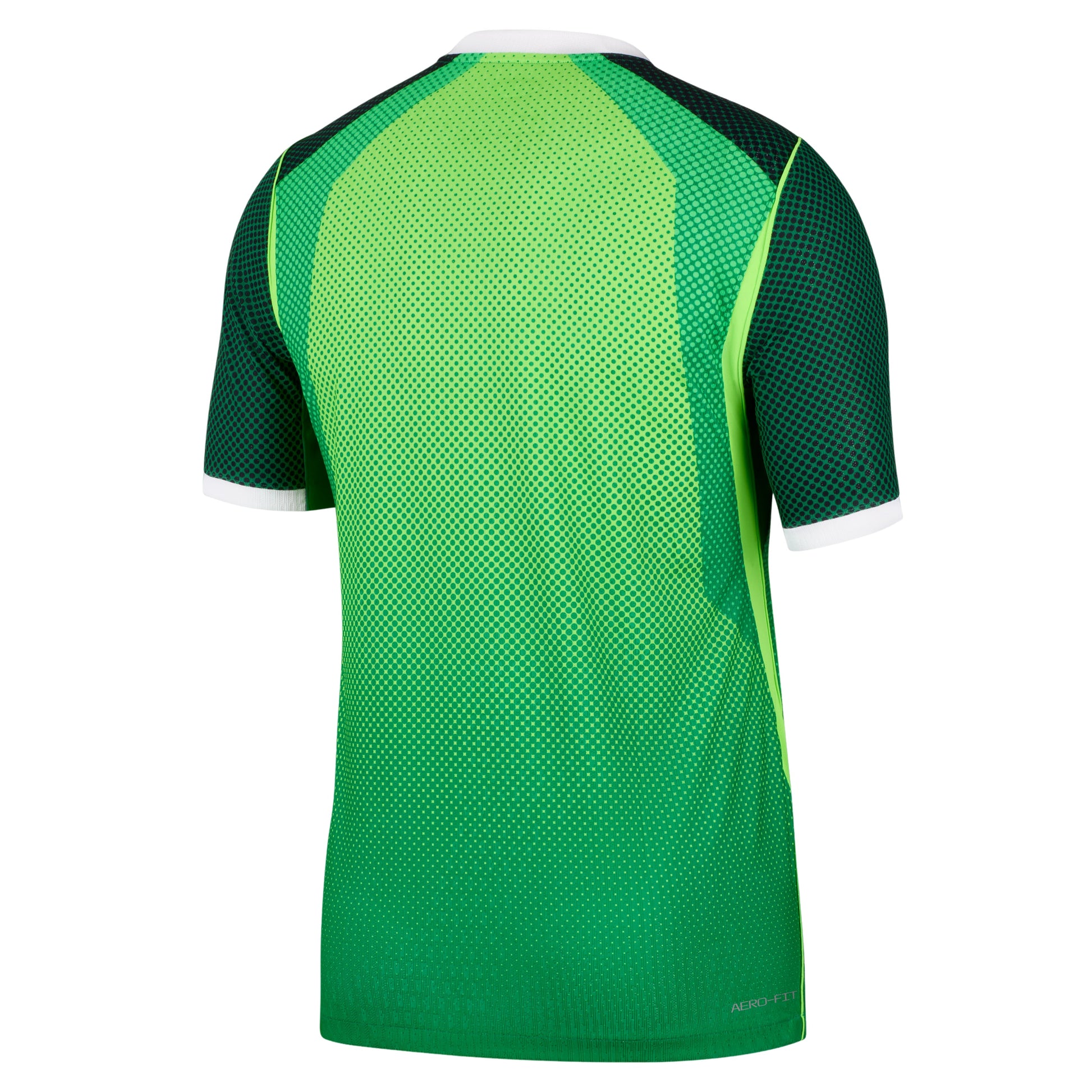 Nike Nigeria 2026 Match Home Aero-FIT Authentic Jersey 'Pine Green Electric Green White' IB5164-302