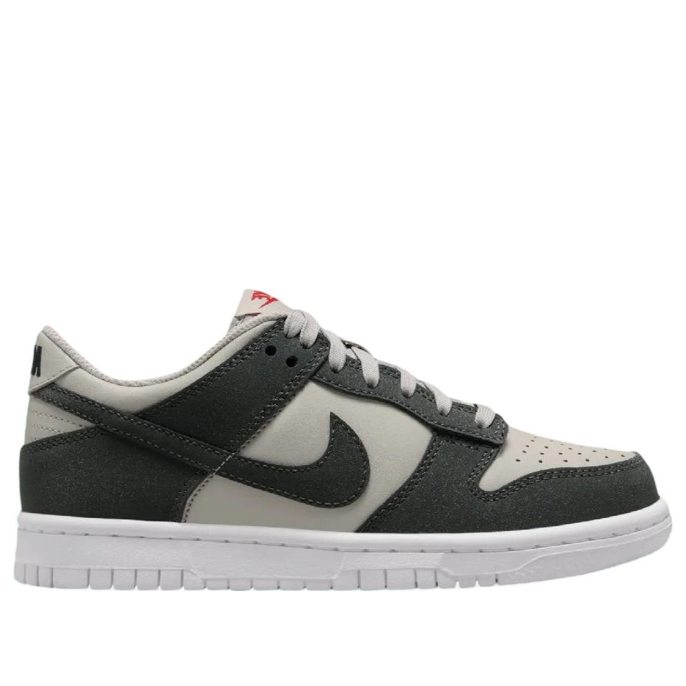 (GS) Nike Dunk Low 'Anthracite Light Iron Ore' FZ1000-001