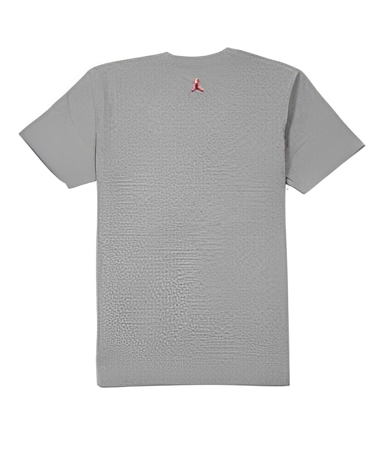 Air Jordan 6 Graphic T-Shirt 'Grey Red' 635707-063