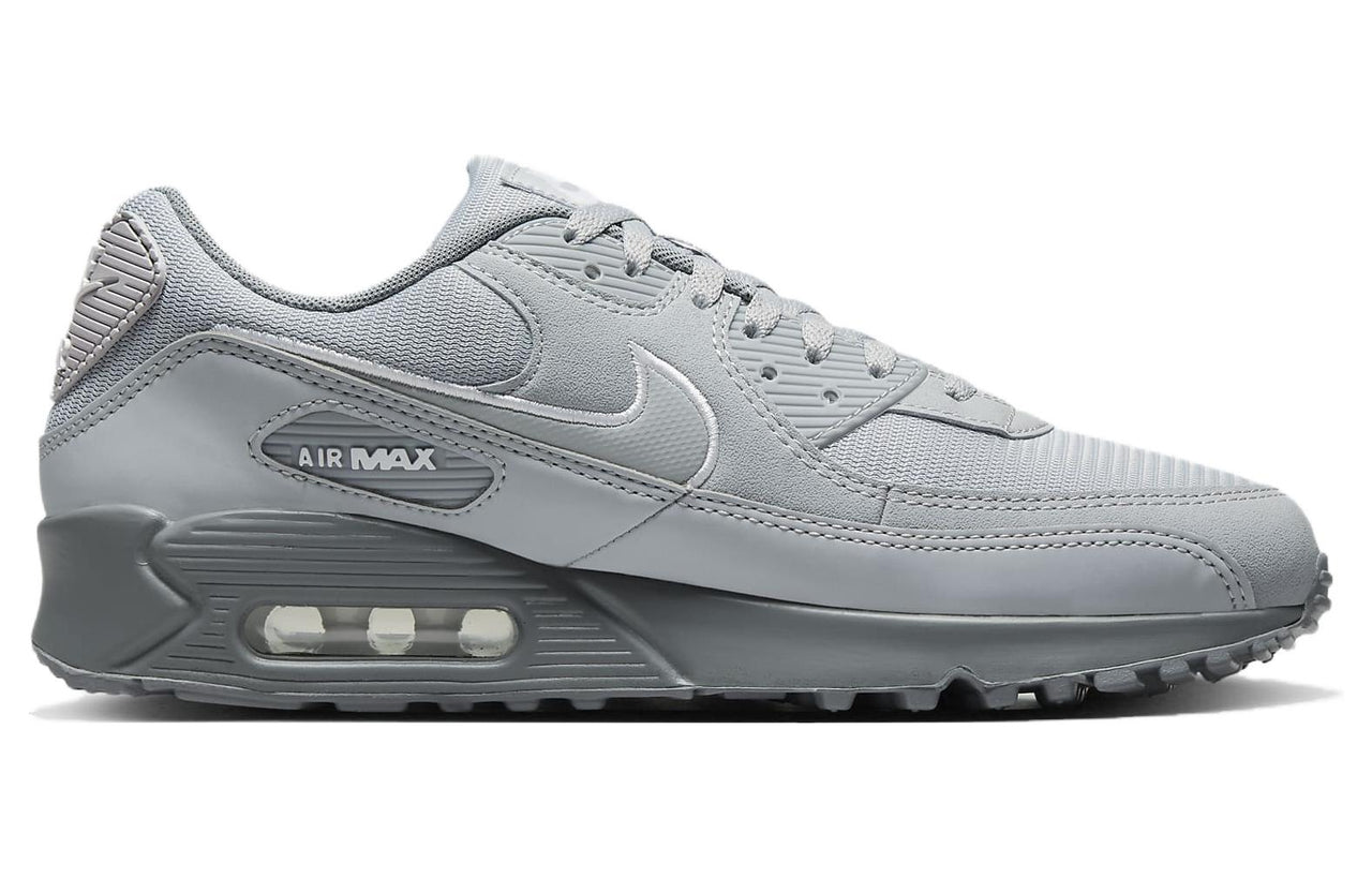 Air Max 90 'Wolf Grey' FJ4218-002