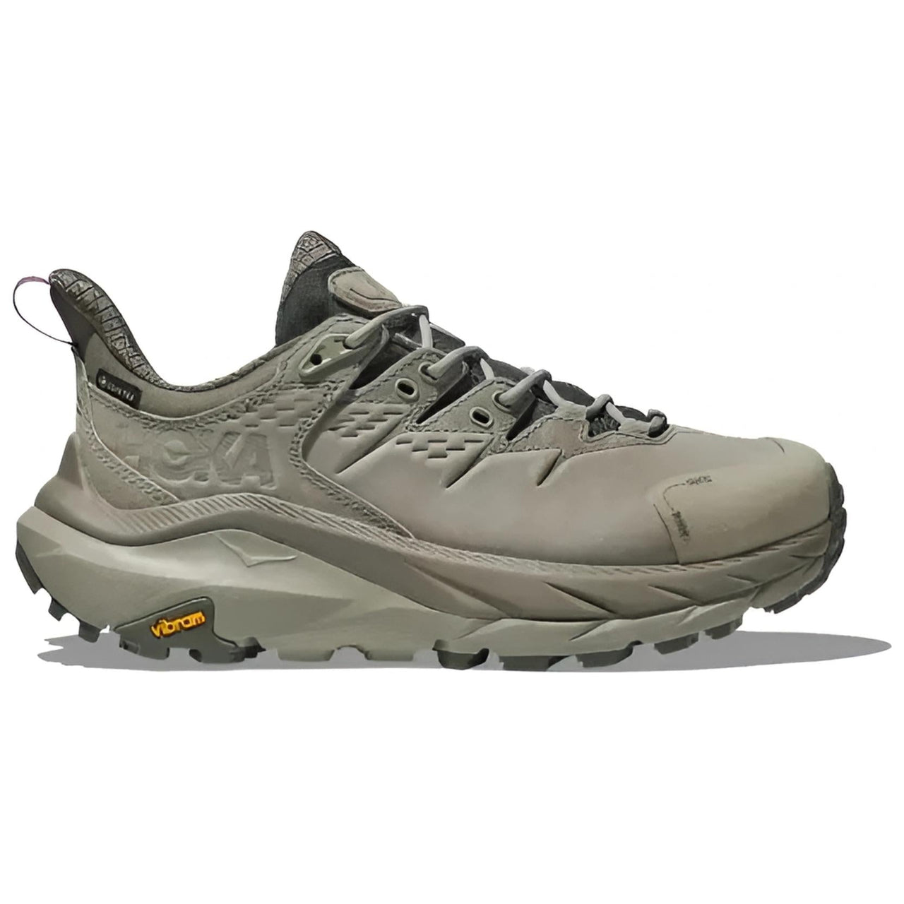 (WMNS) HOKA ONE ONE Kaha 2 LOW Gore-Tex 'Slate Barley' 1123191-SBRL