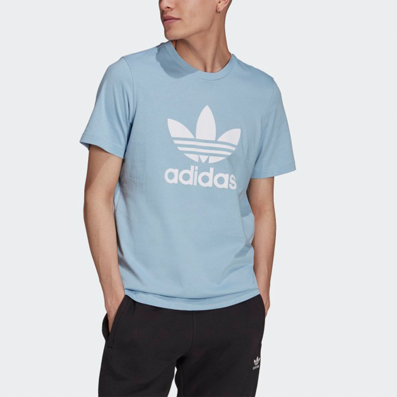 adidas originals Adicolor Classics Logo Tee H06638