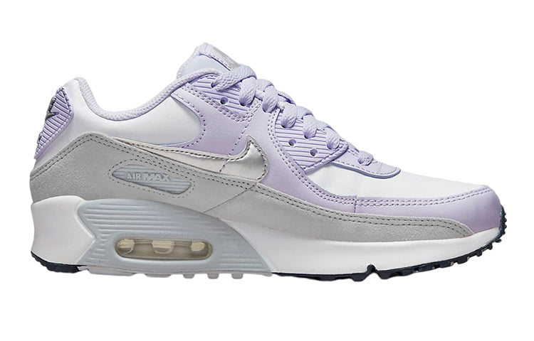 (GS) Nike Air Max 90 Leather 'Violet Frost' CD6864-123