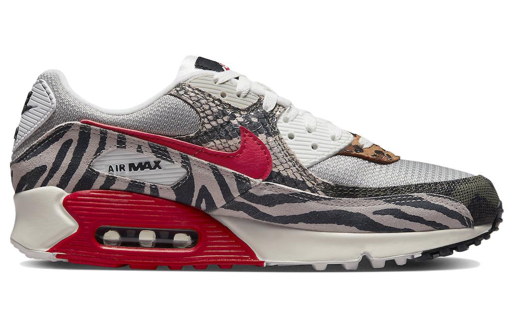 Nike Air Max 90 'Tunnel Walk' DZ4839-001