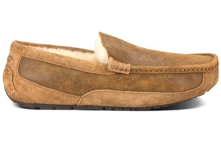 UGG Ascot Bomber 'Khaki Brown' 1008391-BJCE