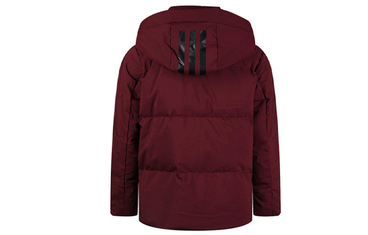 (WMNS) adidas Outdoor Short Hooded Down Jacket Purple EH3984