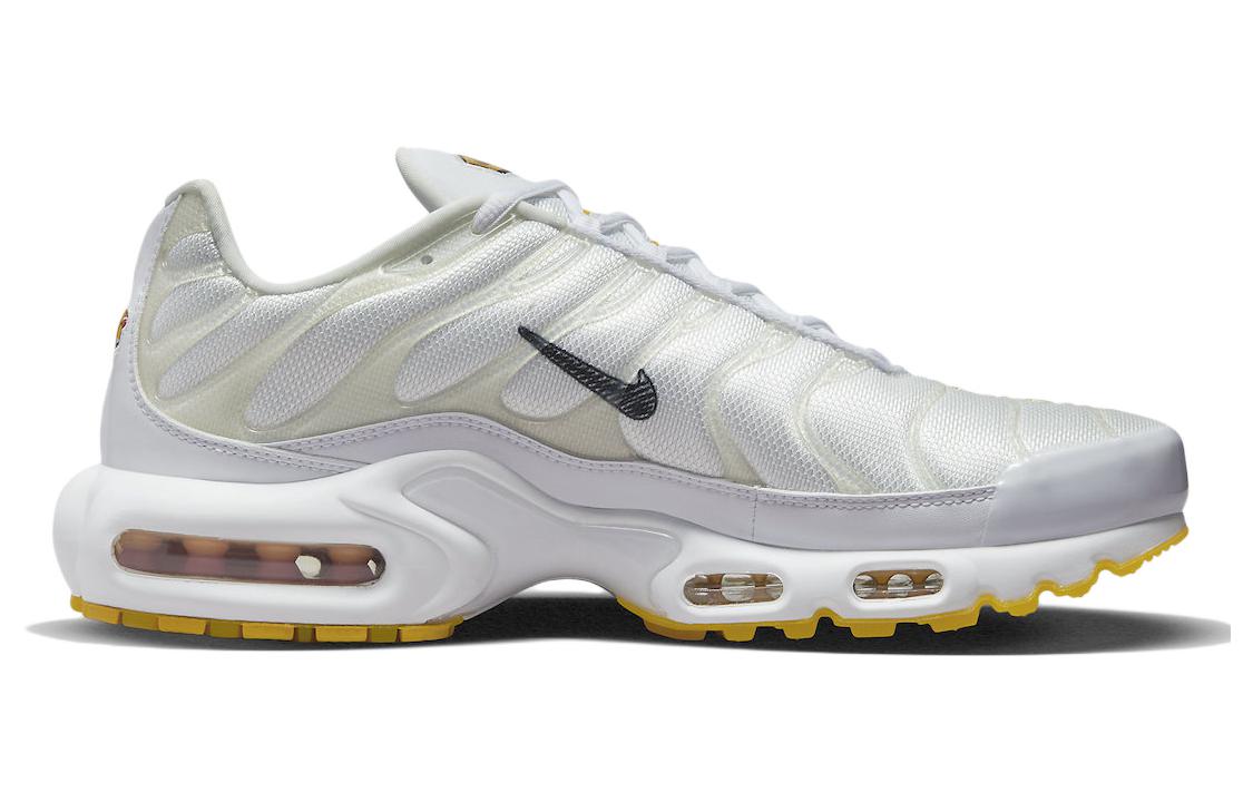 Nike Air Max Plus SE 'Frank Rudy' DQ8960-100