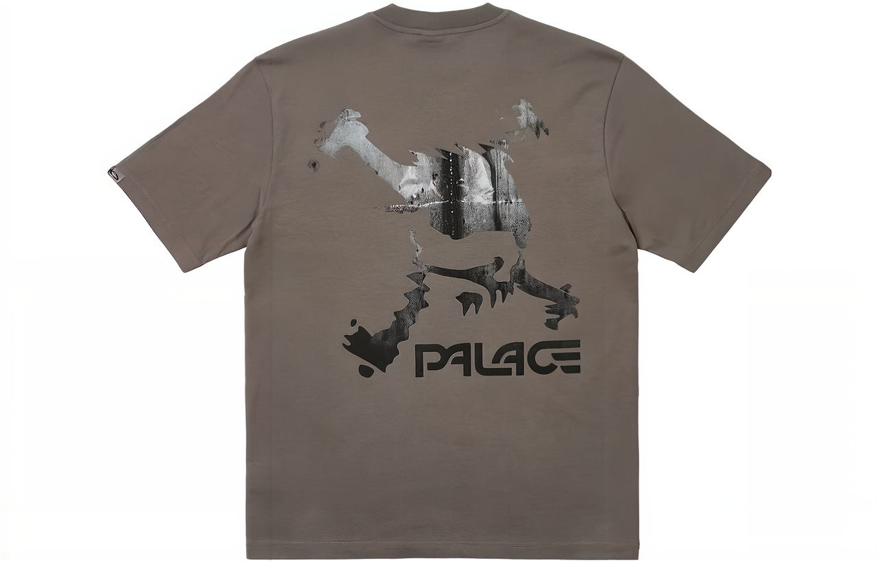 Palace x Oakley T-Shirt 'Grey' P24OKTS003