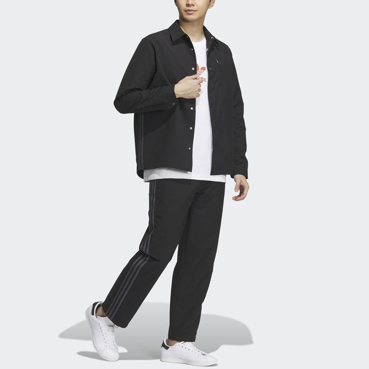 adidas originals LogoT IK3707