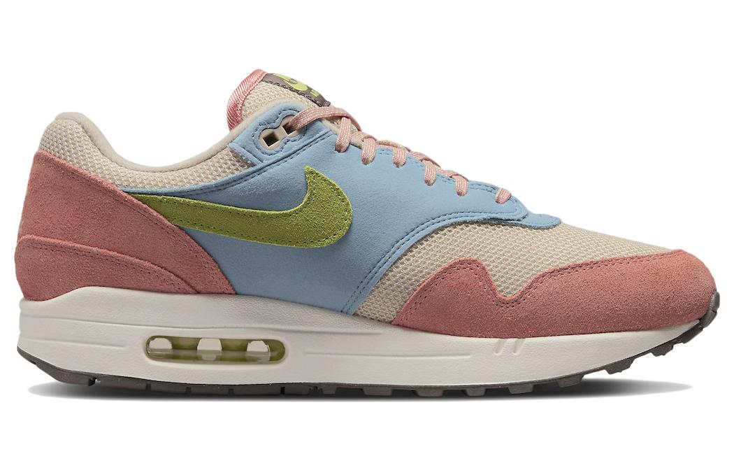 Nike Air Max 1 'Light Madder Root' DV3196-800