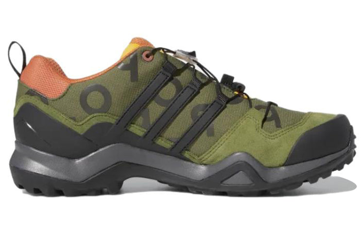 adidas Pop Terrex Swift R2 GORE-TEX x Trading Company 'Wild Pine' GW9658