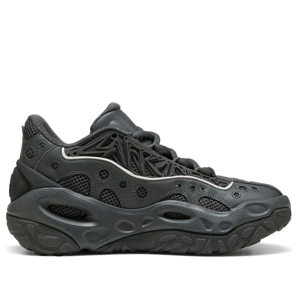 PUMA LaMelo Ball LaFrancé RNR 'Dusky Gray' 312274-03