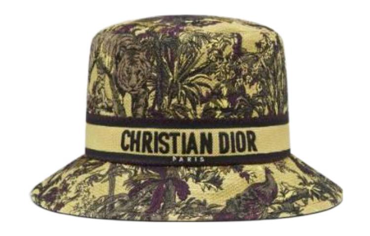 DIOR Bucket Hats Women's Multicolor