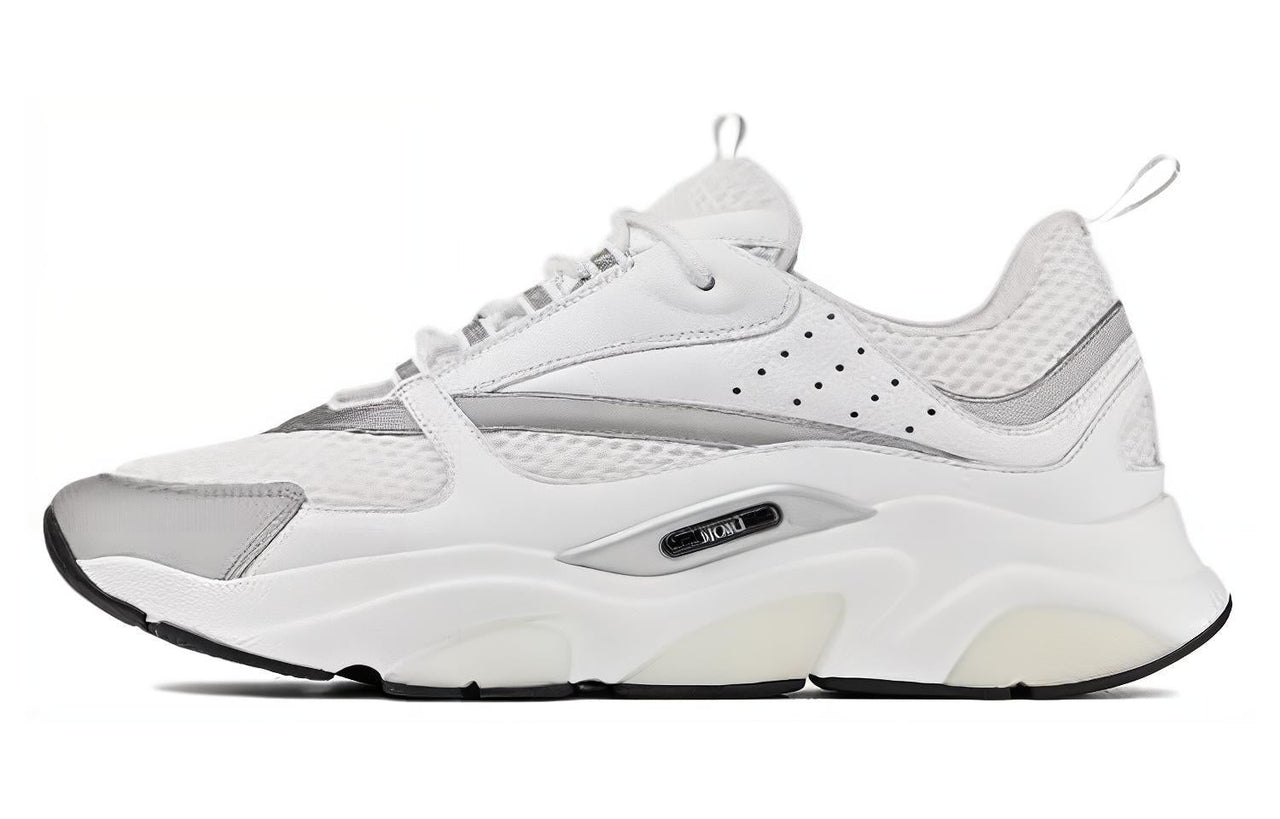 DIOR B22 White Silver