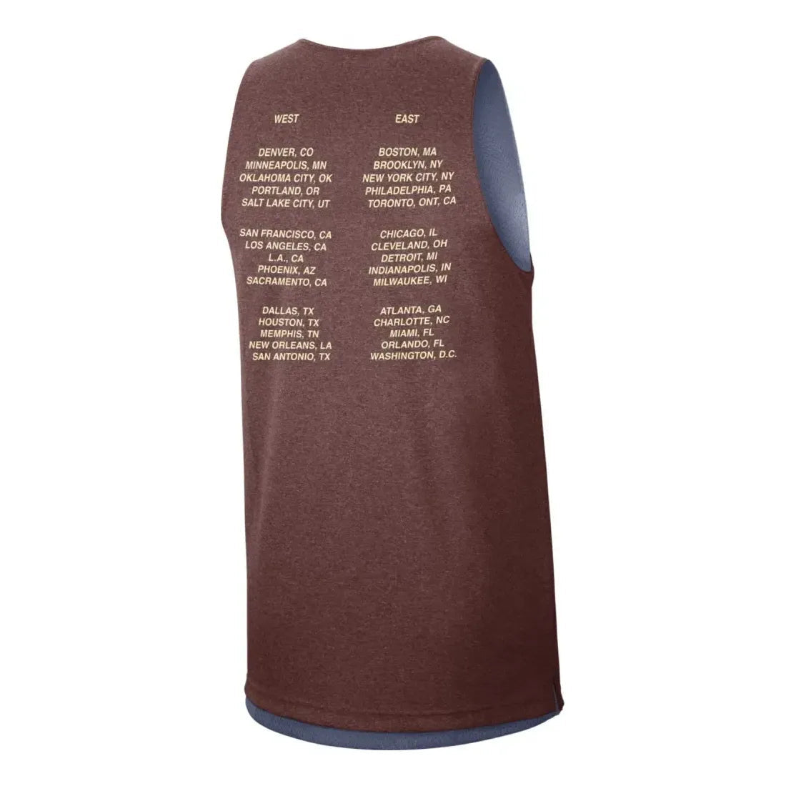 Nike Team 31 Standard Issue Reversible Jersey 'Brown' DX9787-491