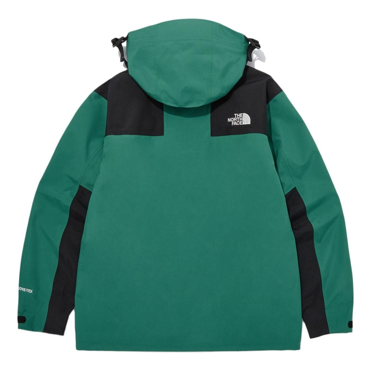 THE NORTH FACE Gore-Tex Mountain 3L Jacket 'Green Black' NJ2GQ01C