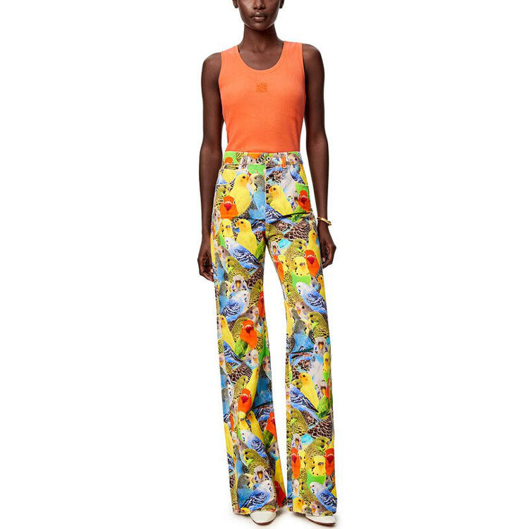 LOEWE Jeans Women's Multicolor