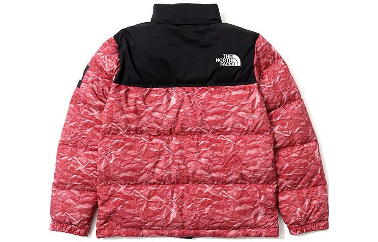 THE NORTH FACE Novelty Nuptse NJ1DM66L