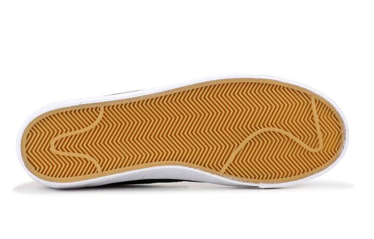 Nike Zoom Bruin SB 'Black History Month' 366665-010