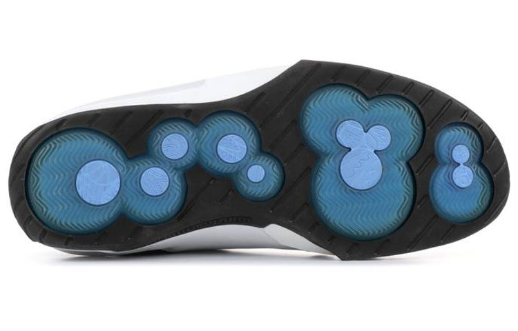 Air Jordan 20 OG 'West Coast' 310455-411