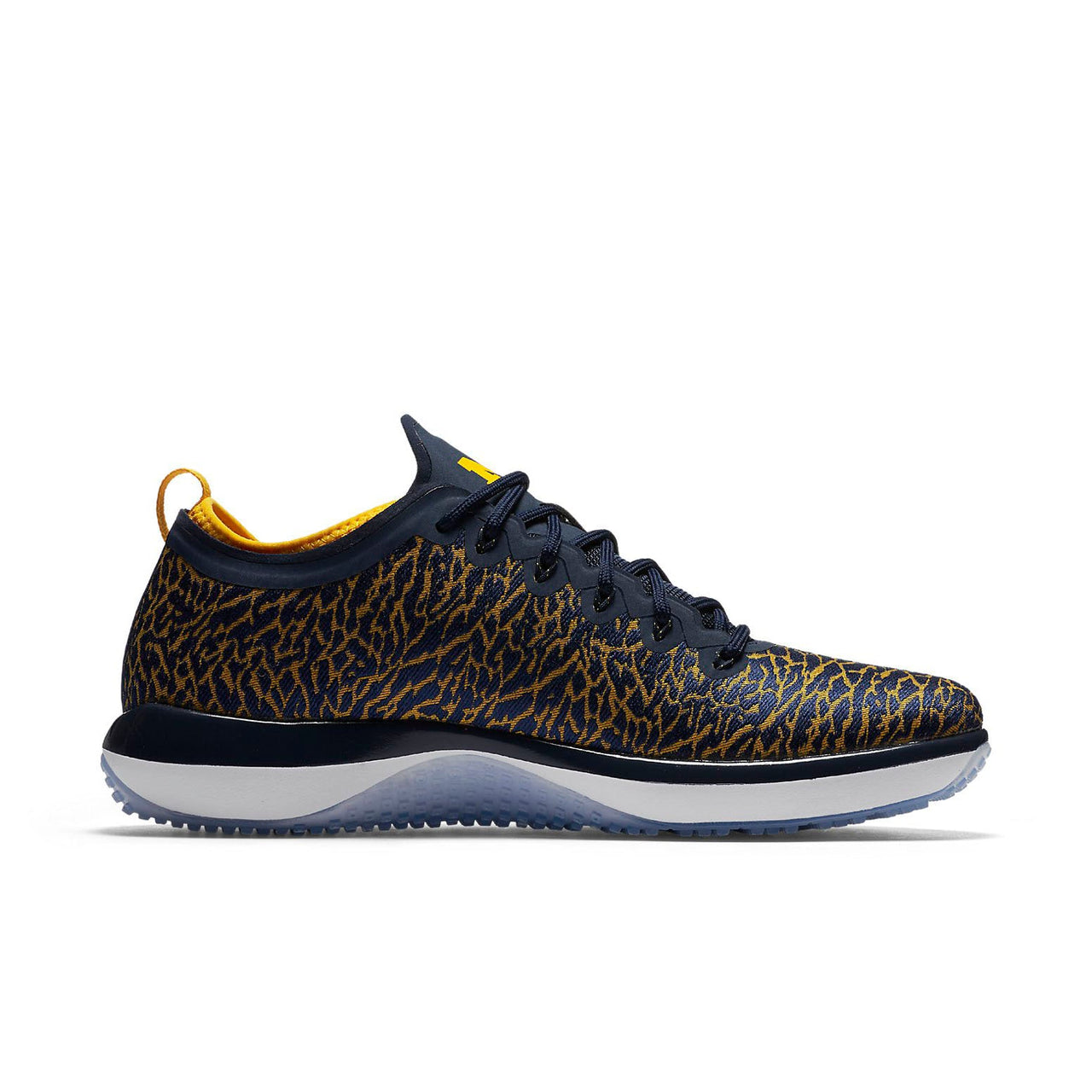 Air Jordan Trainer 1 Low 'Michigan' 845403-420